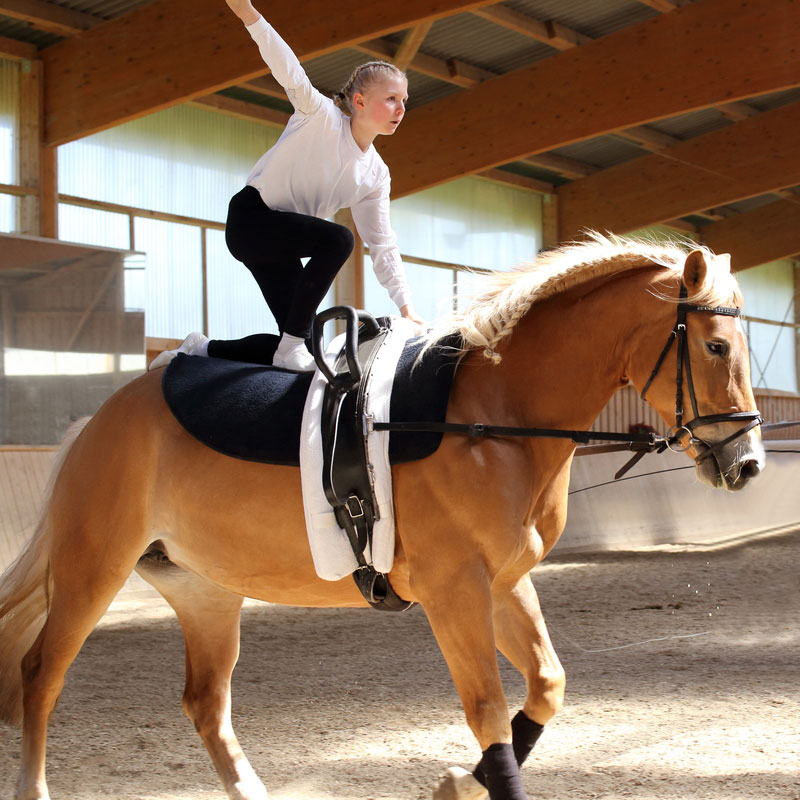 vaulting-home Vaulting home