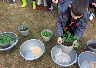 Ιχνηλάτης Ονείρων - Εκπαιδευτική και Θεραπευτική Ιππασία – Ιππασία Ενηλίκων – Vaulting!